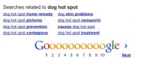PetCopywriter.com blog image about Google Searches Related To