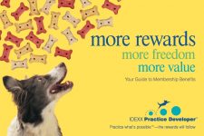 PetCopywriter.com owner Pam Foster wrote this veterinary direct mail campaign