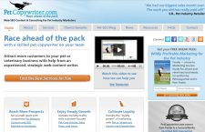PetCopywriter.com was redesigned to offer quick, clear pet marketing solutions