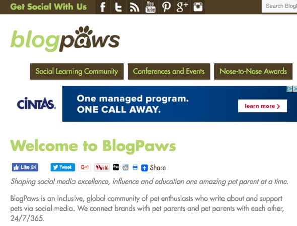 PetCopywriter photo BlogPaws