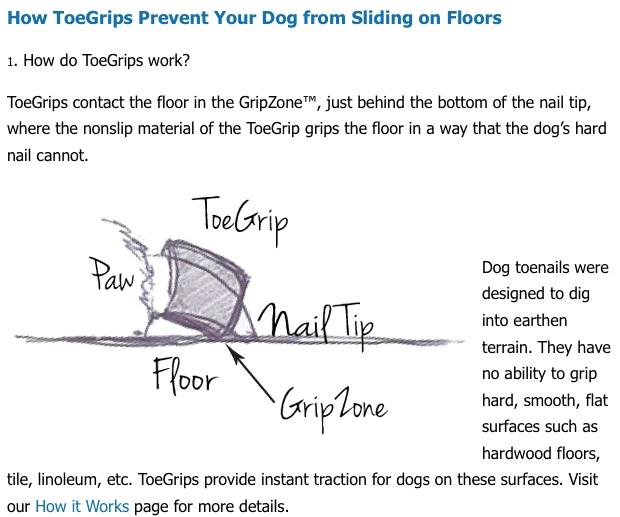 PetCopywriter.com blog post photo of ToeGrips.com FAQ page