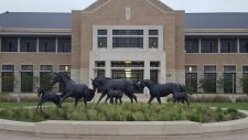 Veterinary Innovation Summit at Texas A&M University