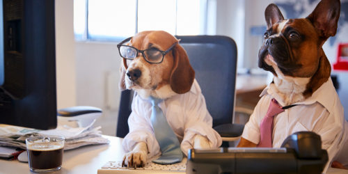 Dog-businessmen-500x250.jpg