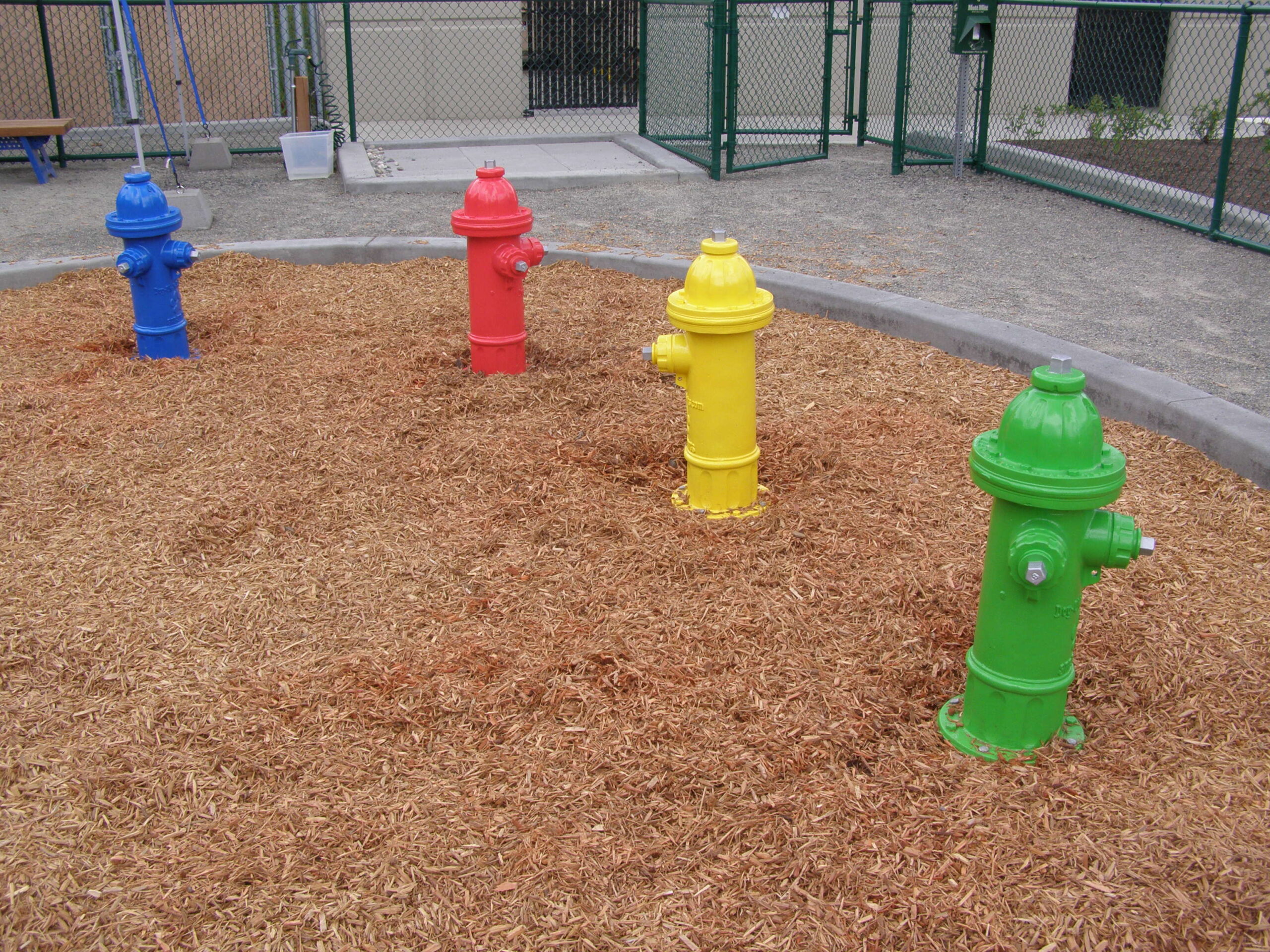 Google doggy fire hydrants