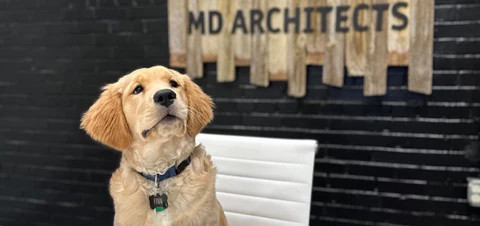 Finn the handsome receptionist at MD Architects